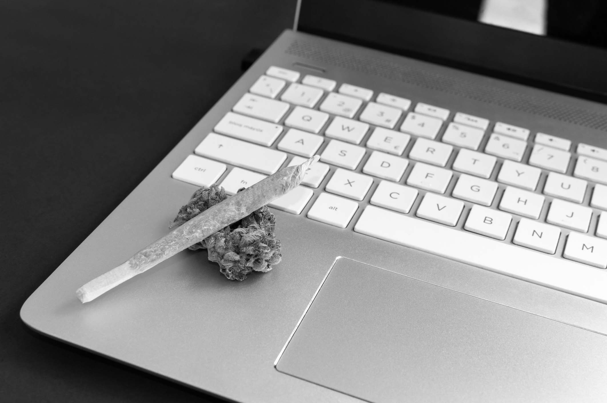 Cannabis blog